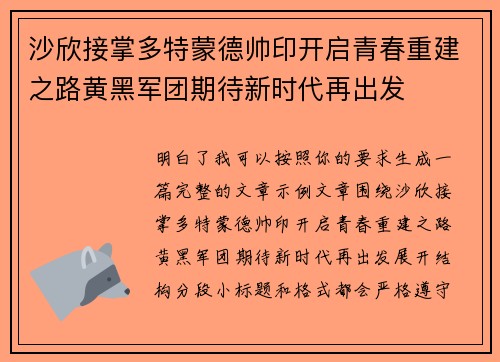 沙欣接掌多特蒙德帅印开启青春重建之路黄黑军团期待新时代再出发