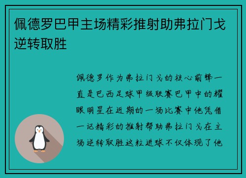佩德罗巴甲主场精彩推射助弗拉门戈逆转取胜 佩德罗巴甲主场精彩推射助弗拉门戈逆转取胜
